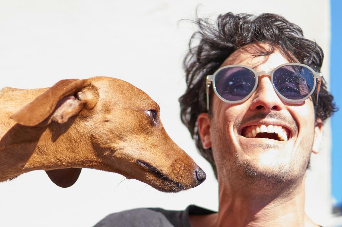 A person contemplating their dog adoption decision
