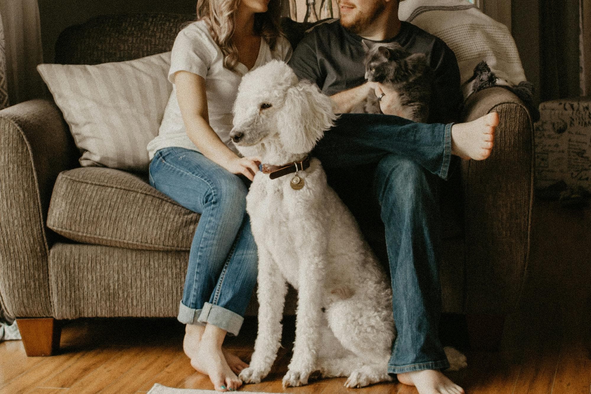 Choosing the Right Dog for Your Living Space