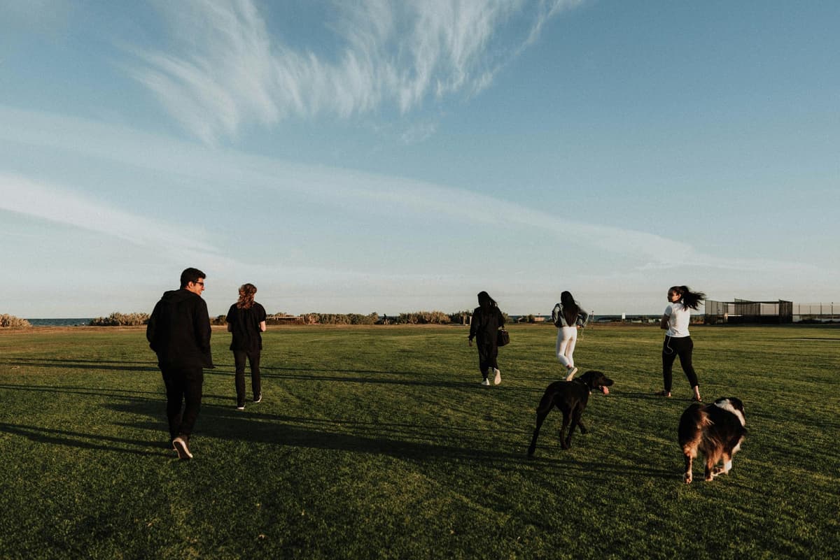 A person interacting with different dogs while making a selection
